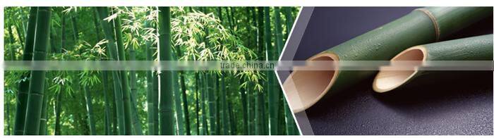 DIY Perfect all size sushi roll tools from China factory