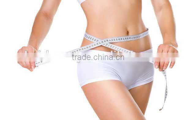 hotsale fat freeze lose weight Cryo pad antifreeze membrane / anti freeze membrane for sale