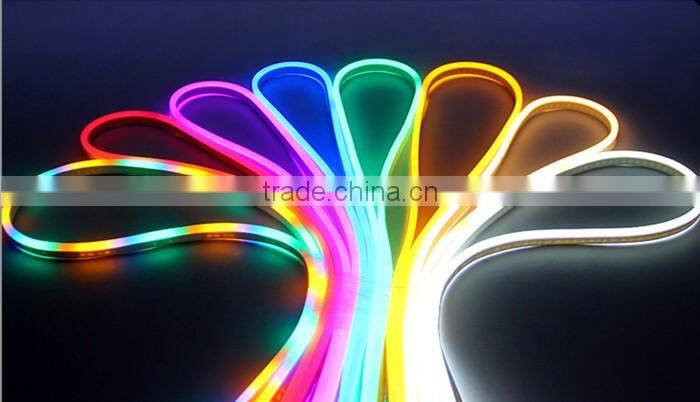 220v/ 12v Outdoor LED Flexible Neon Strip Light for Building Decoration