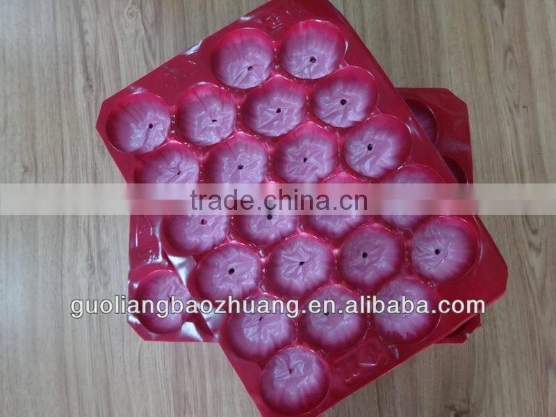 Hot Sale 5LB/10LB/15LB Fresh Tomato Tray Packaging