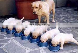 Professional food processing machine for pet food
