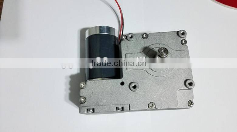 High Torque DC Motors 24V 150kg.cm Permanent Magnet DC Motor Electric Motors DC Worm Gear Motor SGW1269FGG For winding machines