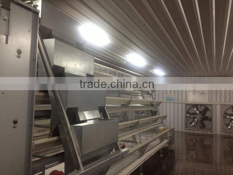 Hot-sale chicken cage equipments for egg chicken