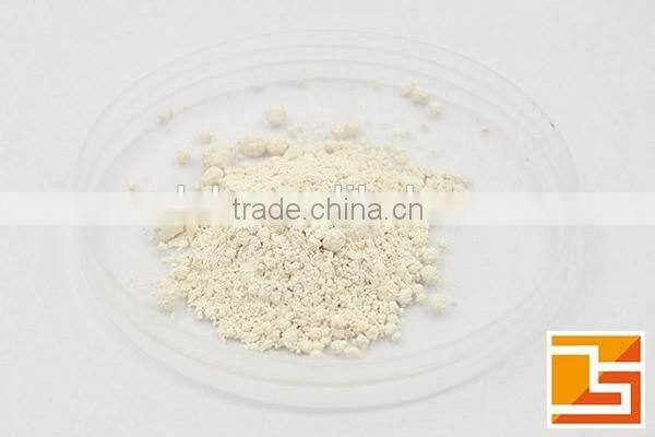 GMP manufactor organic garcinia cambogia extract hca 50%