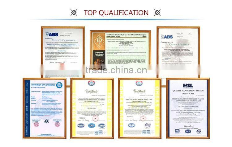 A182 F316 STAINLESS WELDNECK FLANGE