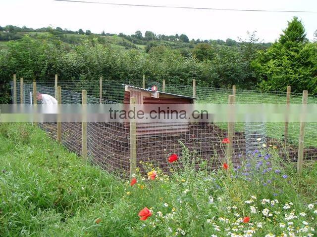 high quality and low price wire mesh fencing