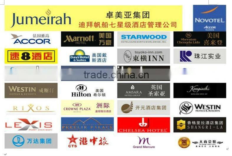 biometric fingerprint safe lock