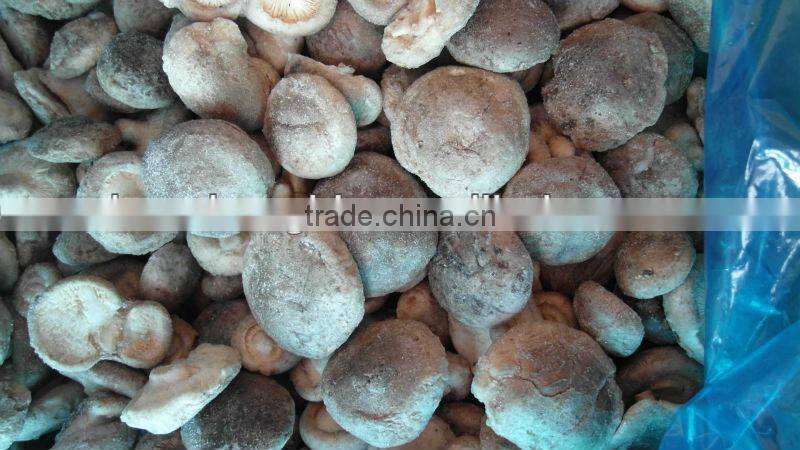 Price for Frozen Shiitake Mushroom Whole