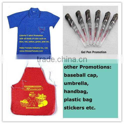 70G Pouch Low Price Tomato Paste from China factory