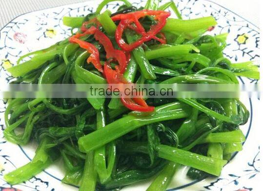 Halal japanese sweet halal soy sauce