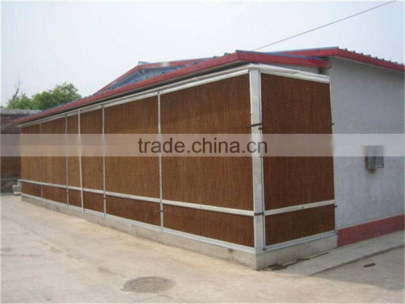 Poultry Farm Design Layout Automatic Broiler Feeding System Agricultural Equipment for Chicken House/Shed/Coop/Hangar/Barn
