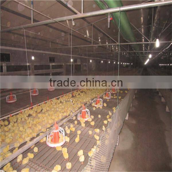 automatic chicken feeding system