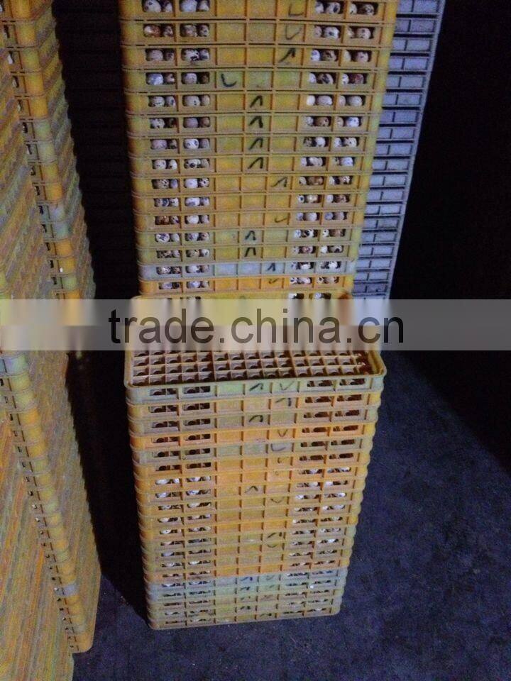 high quality quail eggs plastic tray for transportation