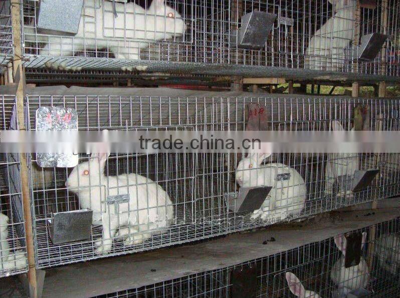 Welded Rabbit Cage