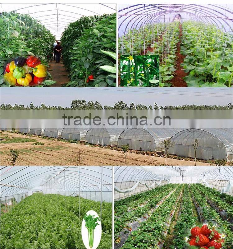 Simple frame Single-Span Greenhouses agriculture agriculture related products
