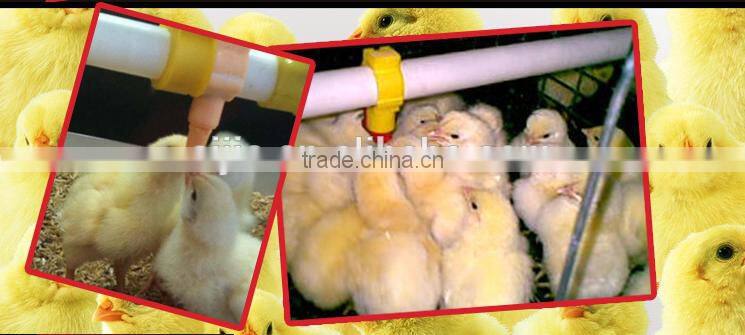Drinker for poultry