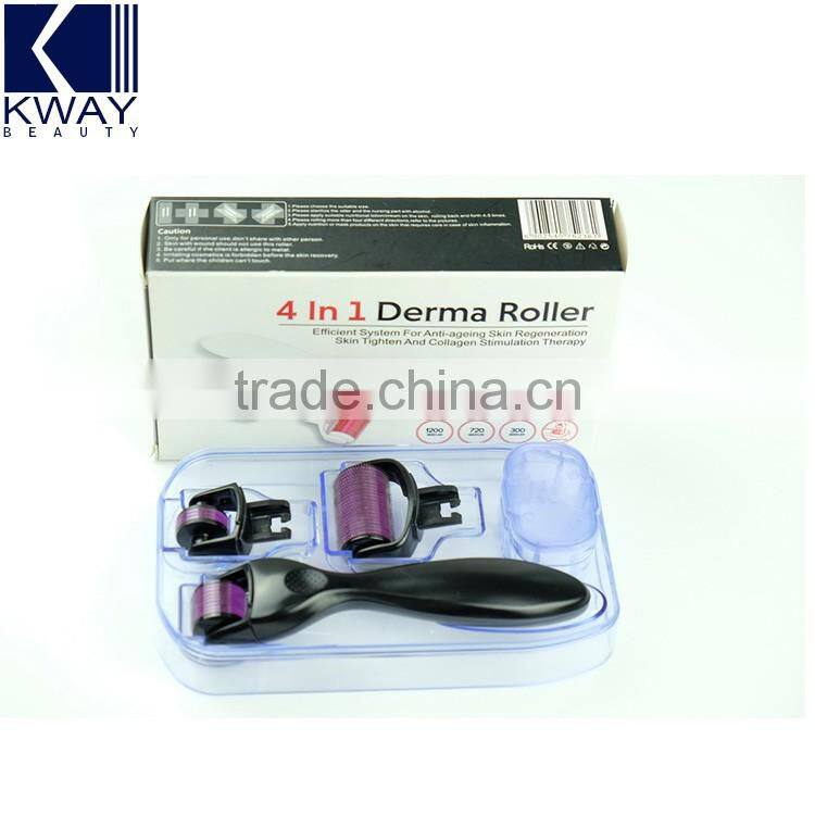 Wholesale microneedle derma roller private label 4 in 1 face roller treatment