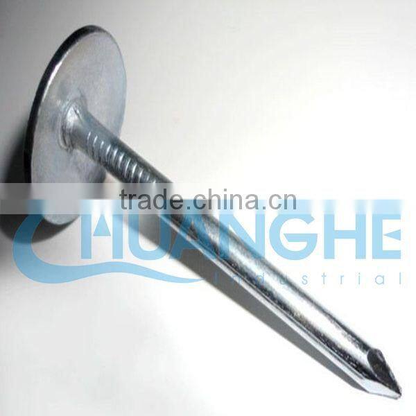 stainless steel roofing nails
