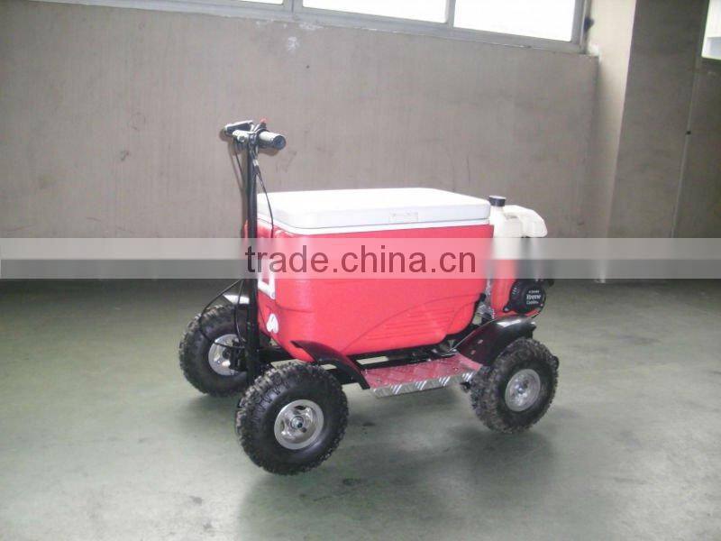 MINI SCOOTER 43CC SX-G110