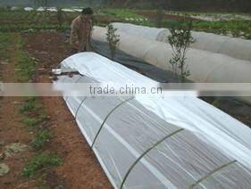 big size agriculture greenhouse tunel film