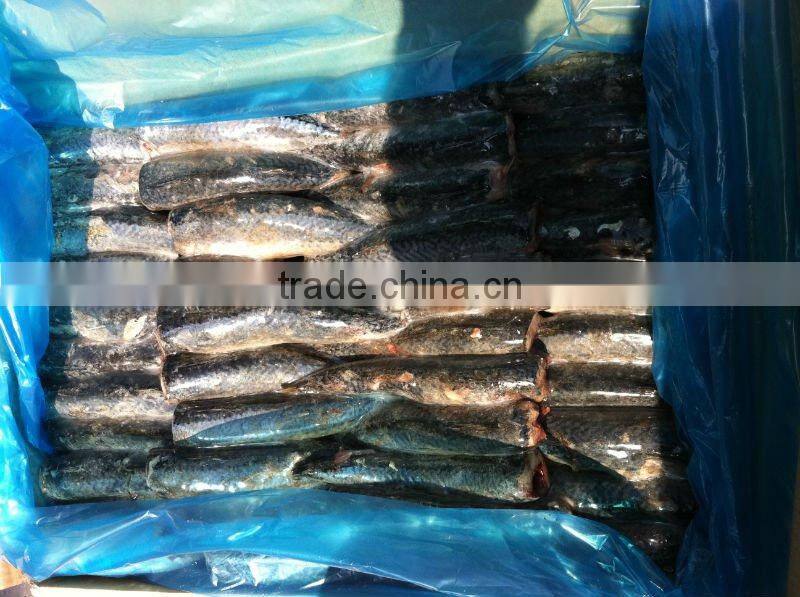 HGT frozen mackerel 100-200g/pc