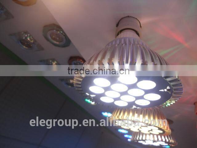 Factory price!High power PAR30 led bulb light