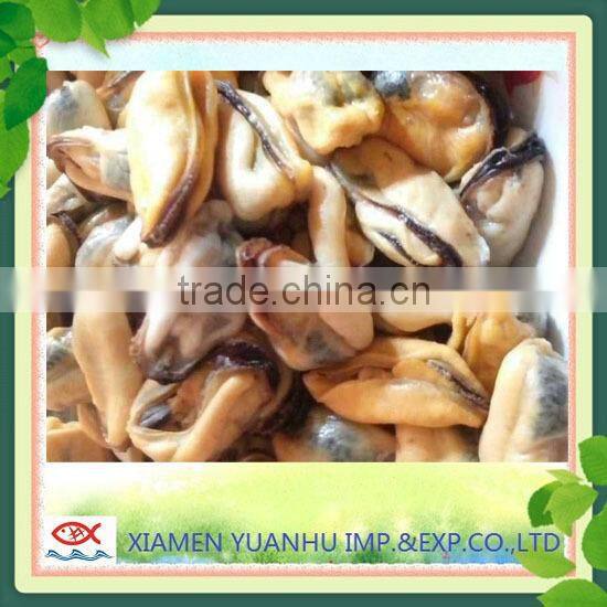 IQF Frozen boiled blue mussel without shell