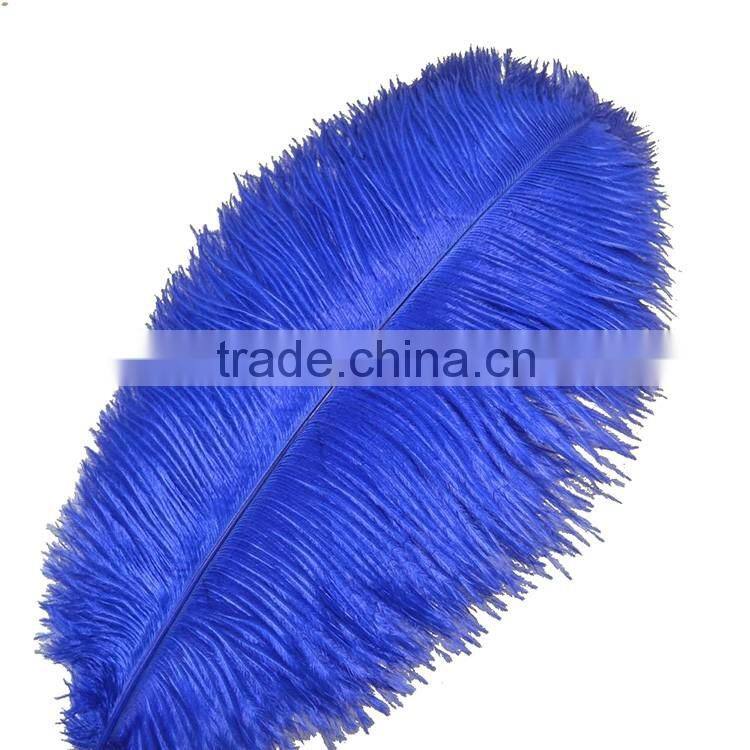 New Style Natural 10-12 Inch Ostrich plumes for party Decorations