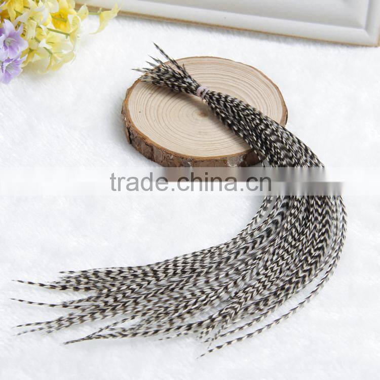 New Arrival Hot Whiting Rooster Feathers Rooster Tail Feathers Feathers For Sale Cheap Long Rooster Feathers Good Quality