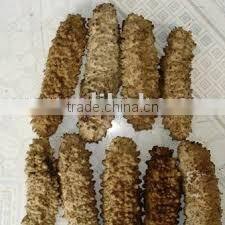 LOWEST PRICE AND HIGH QUALITY DRIED SEA CUCUMBERS