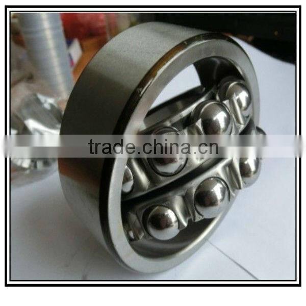 ss Self-aligning Ball Bearing S2206