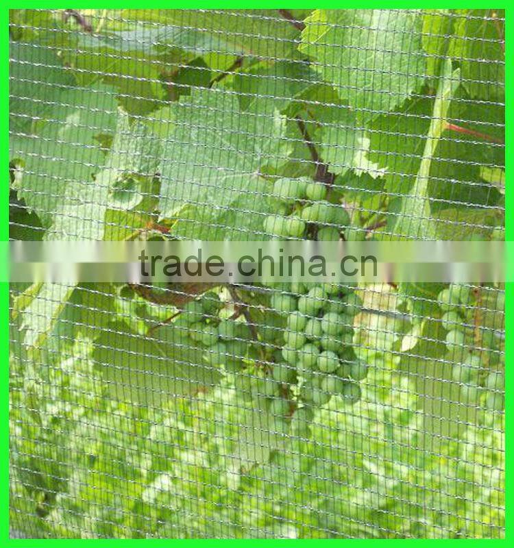reused virgin HDPE plastic anti bird net/fabric wire bird mesh