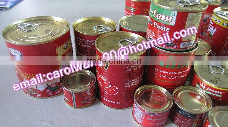 Hot sell and high concetrated canned tomato paste to Africa,Middle East