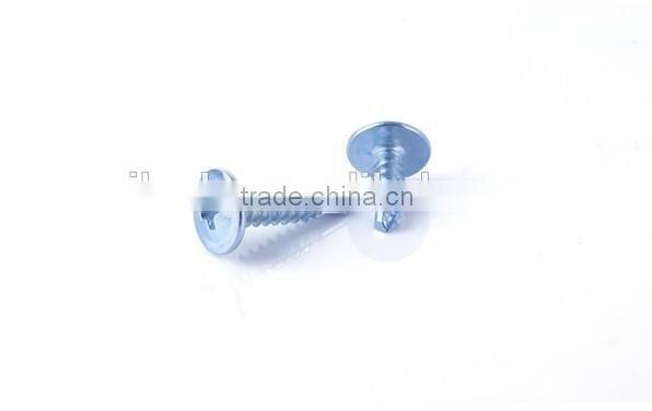 DIN7504K Self-Drilling Screw