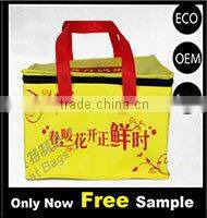 Outdoor fitness nonwoven insulated lunch bag cooler bag CB-036