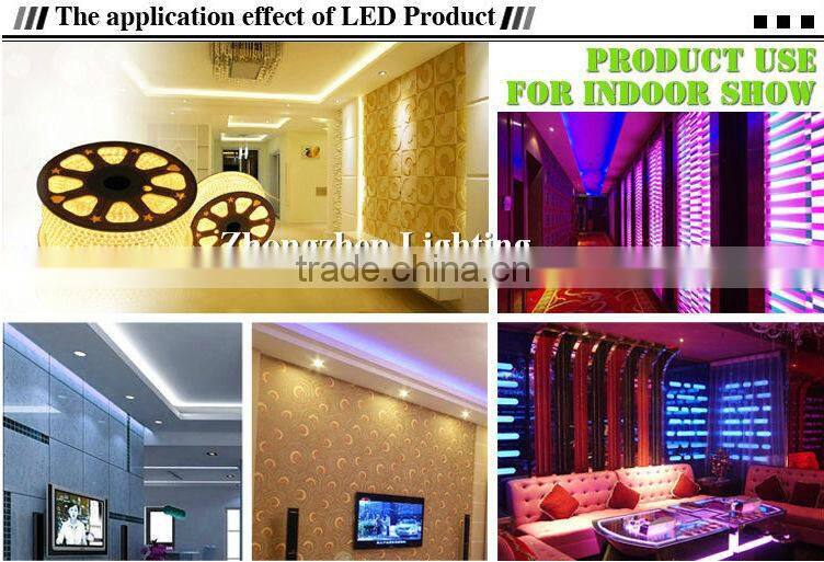 Multi Color Chasing IP65 Round2 Wires Led Hose Light CE