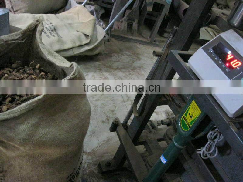 Chinese spices of galangal white poly bag