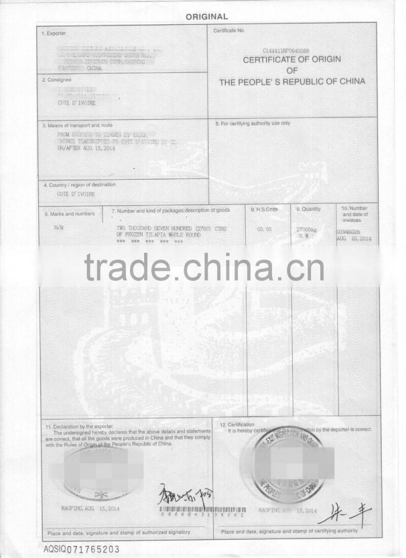 Pacific Mackerel Fish Whole Deep Frozen