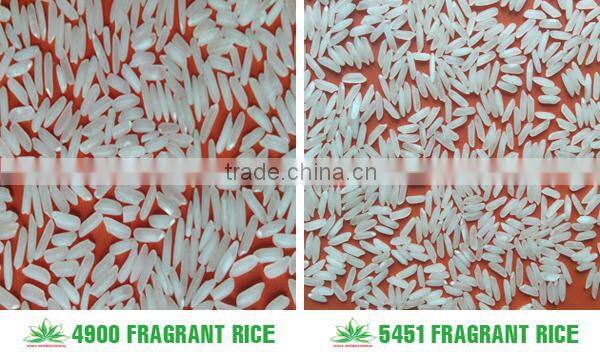 BEST JAPONICA ROUND RICE <5% BOKEN> - CHEAPEST PRICE_HIGH QUALITY - CURRENT RICE
