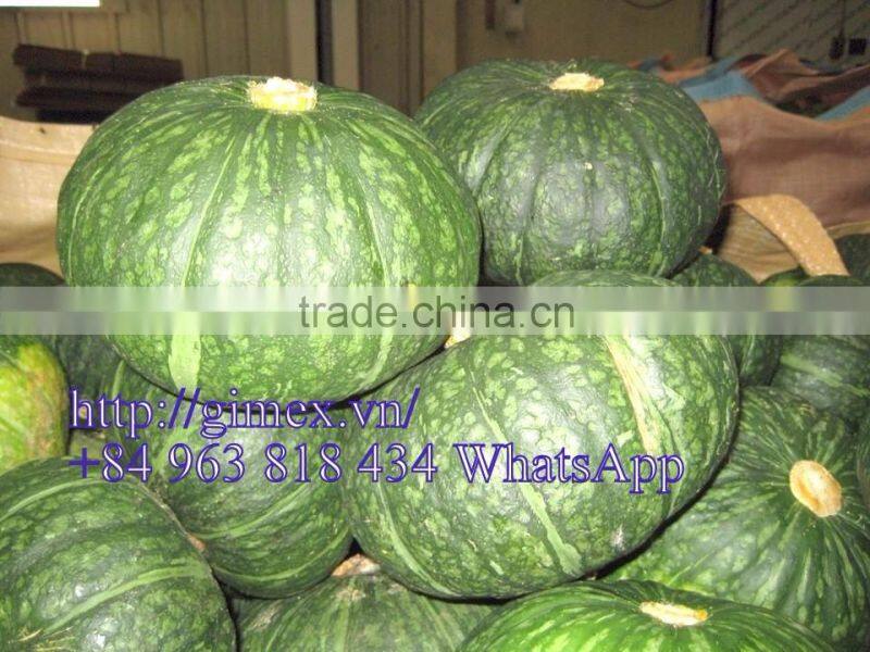 FRESH PUMPKIN +84963818434 whatsapp