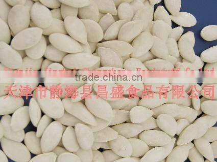 sell roasted and salted pumpkin seeds 11cm,12cm,13cm