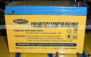 16L battery sprayer machine with regulator