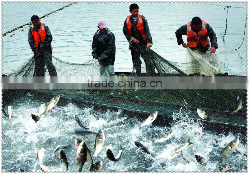 popular Nylon Knotty & Knotless Fishing Net