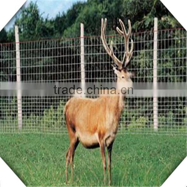 high quality galvanized field fence for sale / sheep fence / galvanized fiedl fence for sale