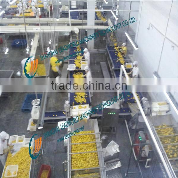 good quality fruit canning machine