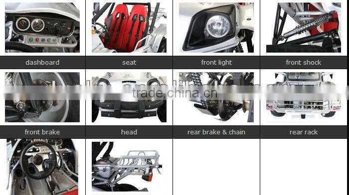 EEC 250cc CVT transmission go kart