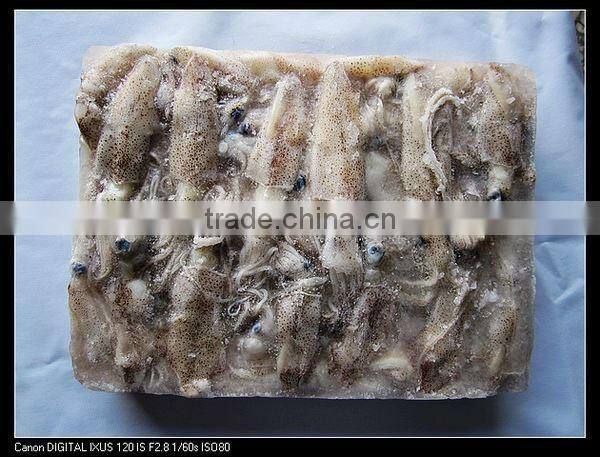 chinese frozen squid