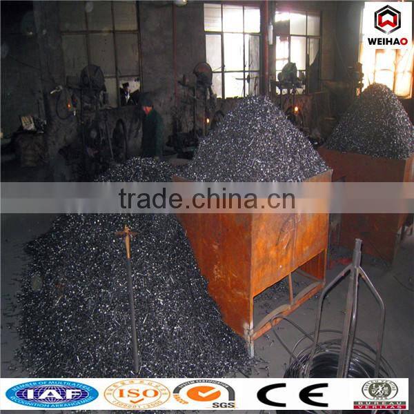 2 inch umbrella head roofing nail