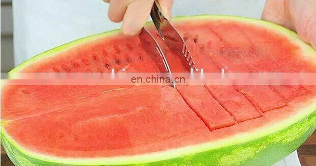 Watermelon Slicer Cutter Knife Corer Server Stainless Steel Kitchen Fruit Tool