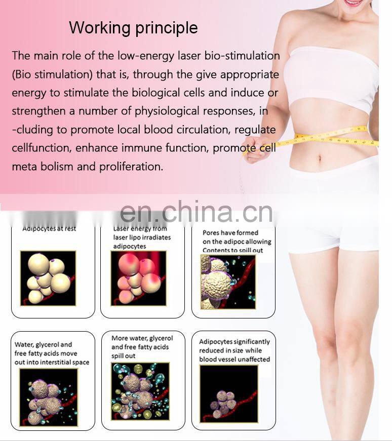 2019 Newest Lipo Laser Cavitation Slimming Machine Lose Weight Quickly